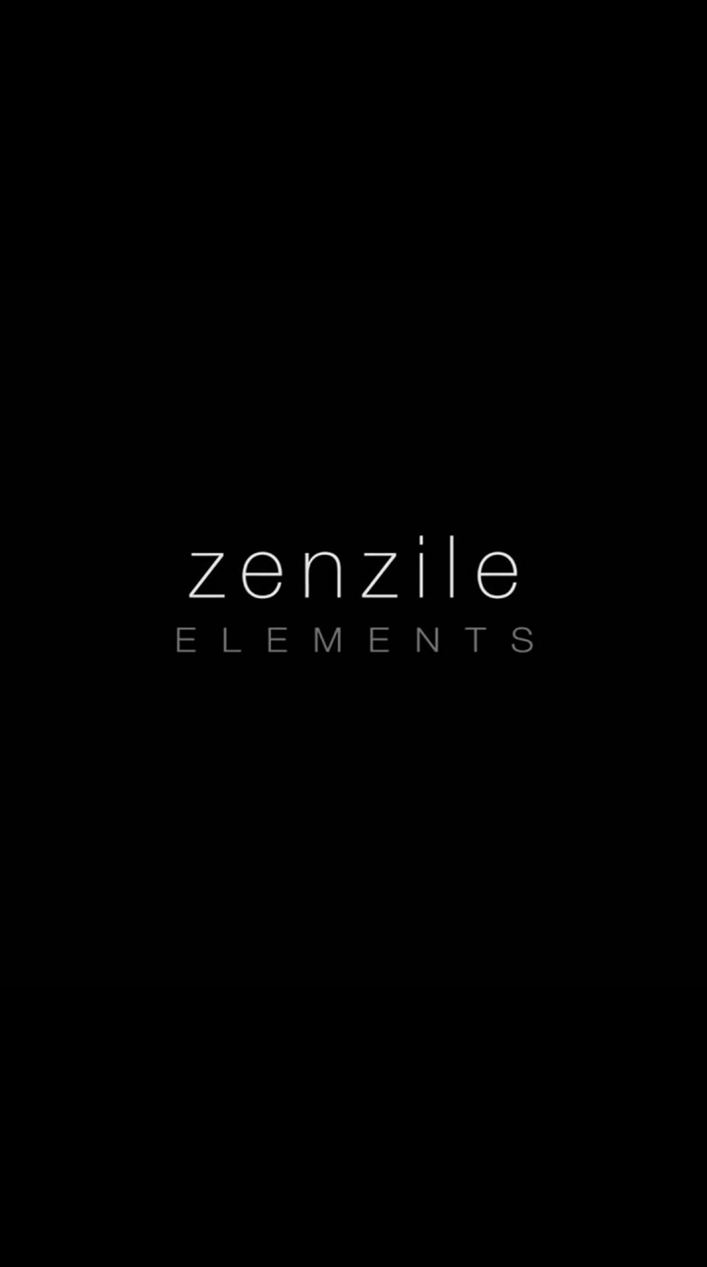 Interview Zenzile